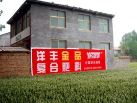  万安如何让墙体广告展现最大化效果