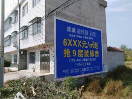  万安墙体广告质量分析